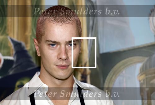 Amsterdam 18 november 2025
Premiere Wicked in het deLaMar theater . Stijn de Vries