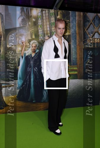 Amsterdam 18 november 2025
Premiere Wicked in het deLaMar theater . Stijn de Vries