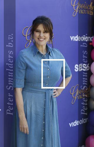 Blaricum 17 oktober 2025
Perspresentatie eerste aflevering Gooische vrouwen met oa aanwezig Linda de Mol Susan Visser Liews Visschedijk Teunie de Brouwer Tommy v Lent Robert de Hoog en Eefje Kuijtzer