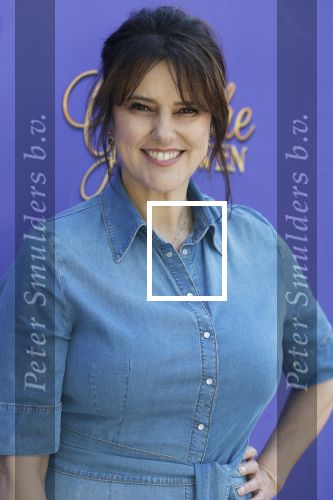 Blaricum 17 oktober 2025
Perspresentatie eerste aflevering Gooische vrouwen met oa aanwezig Linda de Mol Susan Visser Liews Visschedijk Teunie de Brouwer Tommy v Lent Robert de Hoog en Eefje Kuijtzer