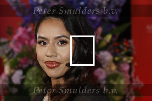 Amsterdam 27 oktober 2025
750 jaar Amsterdam bij het v Gogh museum . tabitha