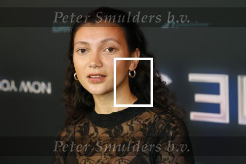 Amsterdam 11 november 2025
Premiere Now you see me 3 bij The Harbour Club .TaraHetharia kwam met haar partner