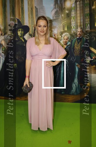 Amsterdam 18 november 2025
Premiere Wicked in het deLaMar theater . Tess Milne kwam met een vriend