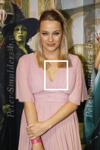 Amsterdam 18 november 2025
Premiere Wicked in het deLaMar theater . Tess Milne kwam met een vriend
