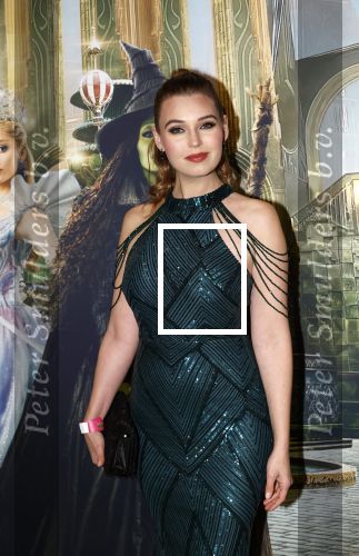Amsterdam 18 november 2025
Premiere Wicked in het deLaMar theater . Tessa v Tol