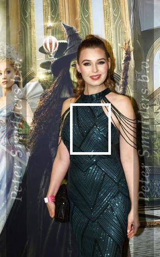 Amsterdam 18 november 2025
Premiere Wicked in het deLaMar theater . Tessa v Tol