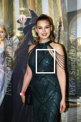 Amsterdam 18 november 2025
Premiere Wicked in het deLaMar theater . Tessa v Tol