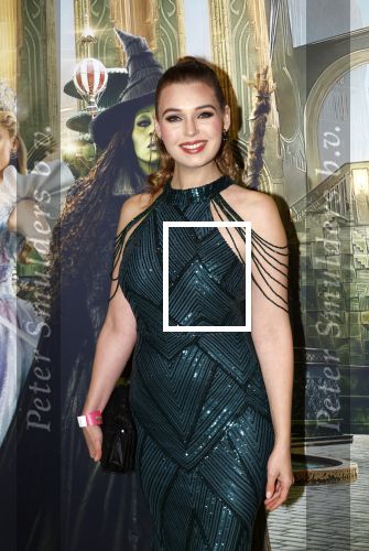 Amsterdam 18 november 2025
Premiere Wicked in het deLaMar theater . Tessa v Tol