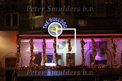 Amsterdam 18 november 2025
Leidse Plein Amsterdam  the bulldog