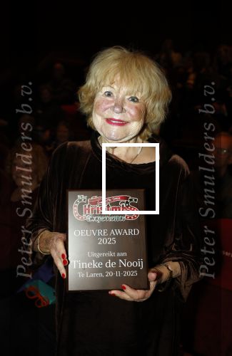 Laren 20 november 2025
Tineke de Nooij krijgt uit handen van Johan Vlemmix een oeuvre award in Rosa Spierhuis.