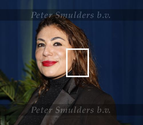 Den Haag 23 oktober 2025
Premiere Circque du Soleil op het malieveld in Den Haag. Yesim Candan kwam met haar kinderen