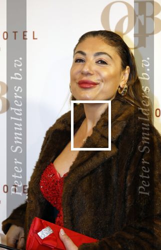 Amsterdam 26 november 2025
Olcay Gulsen geeft een groot feest ( Gemaskerd bal) in het Amstel Hotel. Yesim Candan