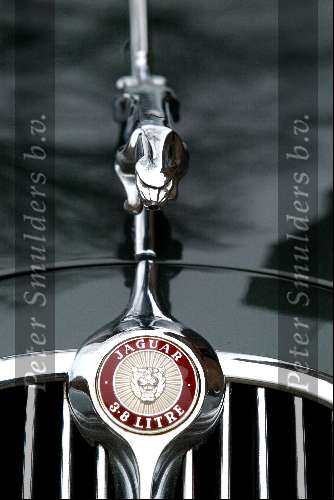 Jaguar Embleem