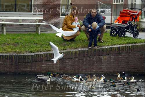 Weesp 1 december 2003
Pernille la Lau met vriend en kinderen eendjes voeren
