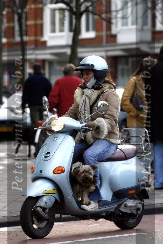 Amsterdam 21 januari 2006
Josefine v Asdonk met hond en gsm op vespa scooter
