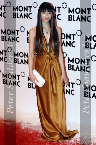 Chamonix 2 februari 2007
Presentatie sieraden lijn van Mont Blanc in Chamonix. Chiaki Kuriyama