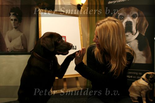 Amsterdam 31 januari 2007
Ellemieke vermolen met haar hond mrs Bo bij presentatie hondenpenning tegen dier proeven.