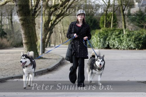 Amsterdam 31 januari 2007
Presentatie honden penning proefdiervrij bij vertigo in het vondelpark. Kim Lian v d Meij
Peter Smulders bv