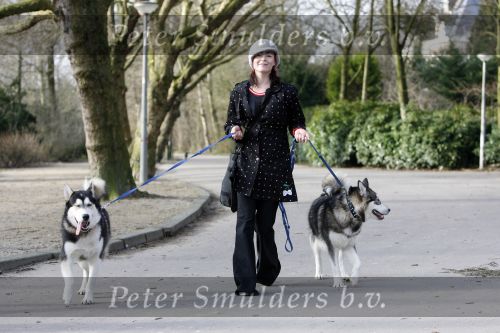 Amsterdam 31 januari 2007
Presentatie honden penning proefdiervrij bij vertigo in het vondelpark.