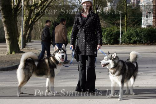 Amsterdam 31 januari 2007
Presentatie honden penning proefdiervrij bij vertigo in het vondelpark. Kim Lian v d Meij