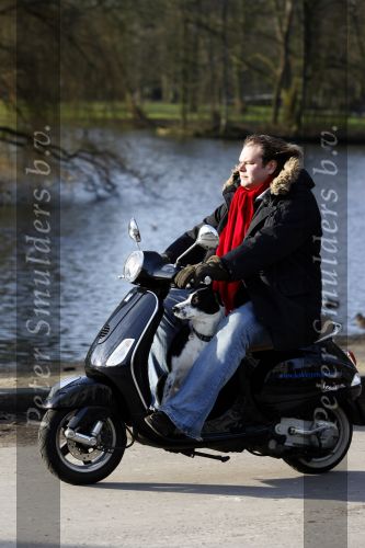Amsterdam 31 januari 2007
Presentatie honden penning proefdiervrij bij vertigo in het vondelpark.Menno Kohler met hond op vespa scooter