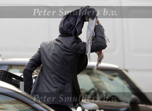 Amsterdam 20 januari 2010
Ruud en estelle Gullit met een vriend van hen uit Los Angeles. Danielle Overgaag kwam hem de hand schudden terwijl leco haar haren aan het verven was. Ruud en estelle proberen haar te verbergen voor de fotograaf.
Peter Smulders bv
