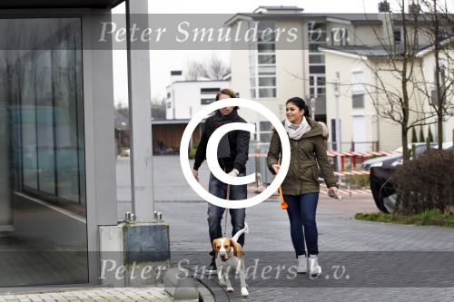 Vinkeveen 25 januari 2012
Roxeanne Hazes en haar vriend Nick laten samen hun hond uit.
Peter Smulders bv