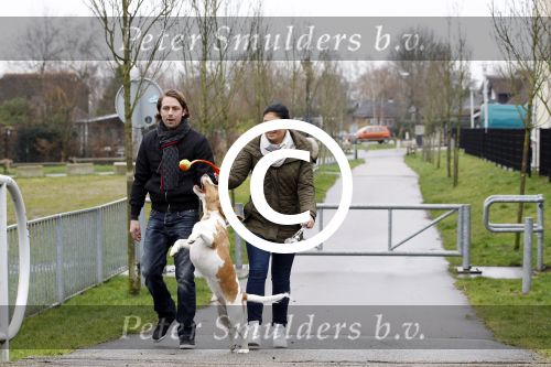 Vinkeveen 25 januari 2012
Roxeanne Hazes en haar vriend Nick laten samen hun hond uit.
Peter Smulders bv