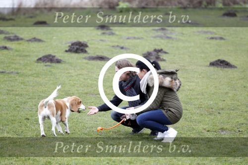Vinkeveen 25 januari 2012
Roxeanne Hazes en haar vriend Nick laten samen hun hond uit.
Peter Smulders bv