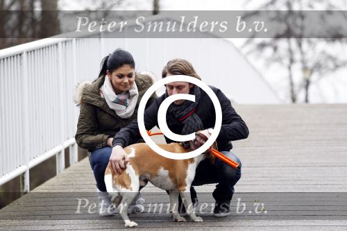Vinkeveen 25 januari 2012
Roxeanne Hazes en haar vriend Nick laten samen hun hond uit.
Peter Smulders bv