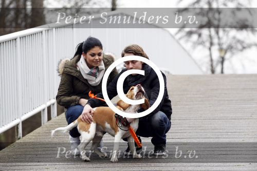 Vinkeveen 25 januari 2012
Roxeanne Hazes en haar vriend Nick laten samen hun hond uit.
Peter Smulders bv