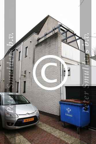 Aalsmeer 17 januari 2014
Bonnie st Claire met haar hondjes bij haar huis.