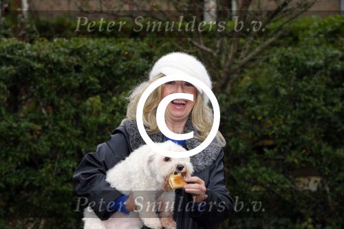 Aalsmeer 17 januari 2014
Bonnie st Claire met haar hondjes bij haar huis.