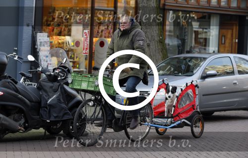 Amsterdam 22 januari 2014
Menno Kohler op de fiets met hond in kinderwagen op cornelis schuytstraat.