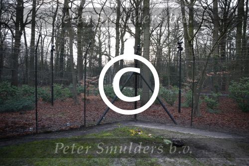 Lage Vuursche 15 januari 2014
Graf prins Friso.