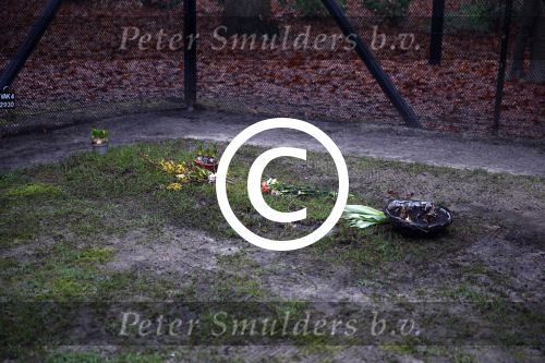 Lage Vuursche 15 januari 2014
Graf prins Friso.