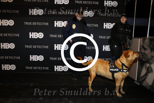 Amsterdam 13 januari 2013
Premiere True detective van HBO.