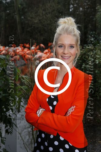 Alphen aan de Rijn 22 januari 2015
Presentatie nieuwe bassie en adriaan film.
Aad van Toor (Adriaan), Fedor Rossem (Boef Linke Leo), Job Bovelander (Koen), Janouk Kelderman (Keet!), Peter Sterk (Boef 1001) en Bas van Toor (Bassie) in Avifauna