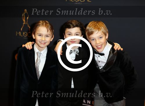 Utrecht 7 januari 2015
Musical awards gala in het Beatrix theater.
Noah de Vos, Carlos Puts, Stijn van der Plas