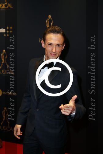 Utrecht 7 januari 2015
Musical awards gala in het Beatrix theater.
Tim Driessen