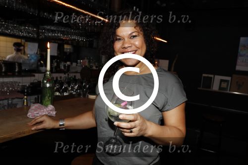Amsterdam 11 januari 2017
Presentatie boek Opvliegers! 
Proosten op het boek en het nieuwe Jaar 2017 met oa Peggy Vrijens, Sandra Mattie, Laura Vlasblom, Antje Monteiro, Carolina Mout en Cystine Carreon Rick Engelkes. Anousha Nzume