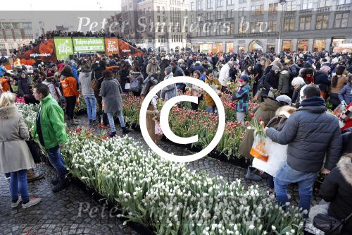 Amsterdam 21 januari 2017 
Boer Tom Groot bij event met tulpen bij paleis op de dam.