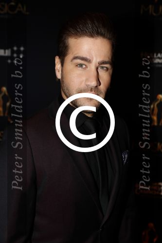 Utrecht 12 januari 2017
Uitreiking musical awards in het beatrixtheater.
Dave Mantel