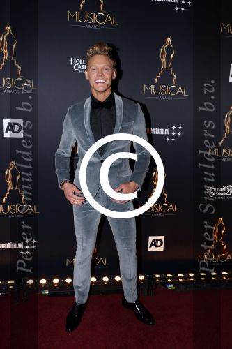 Utrecht 12 januari 2017
Uitreiking musical awards in het beatrixtheater.
Ferry Doedens