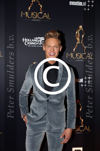 Utrecht 12 januari 2017
Uitreiking musical awards in het beatrixtheater.
Ferry Doedens