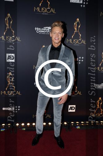Utrecht 12 januari 2017
Uitreiking musical awards in het beatrixtheater.
Ferry Doedens