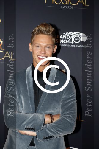 Utrecht 12 januari 2017
Uitreiking musical awards in het beatrixtheater.
Ferry Doedens