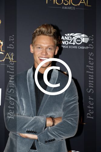 Utrecht 12 januari 2017
Uitreiking musical awards in het beatrixtheater.
Ferry Doedens