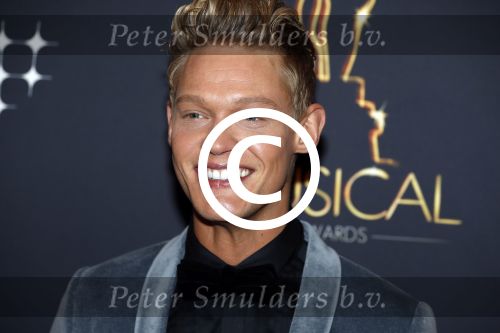Utrecht 12 januari 2017
Uitreiking musical awards in het beatrixtheater.
Ferry Doedens