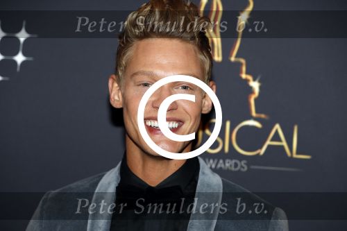 Utrecht 12 januari 2017
Uitreiking musical awards in het beatrixtheater.
Ferry Doedens